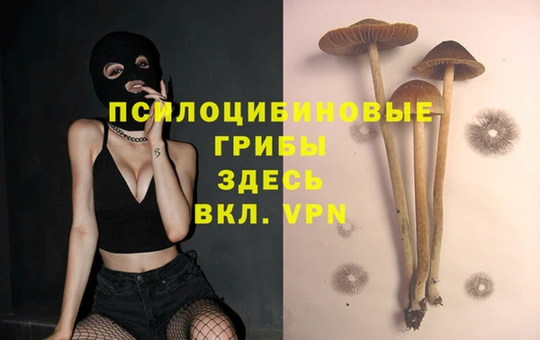 ПСИЛОЦИБИНОВЫЕ ГРИБЫ Пересвет
