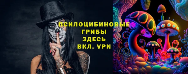 хмурый Алзамай